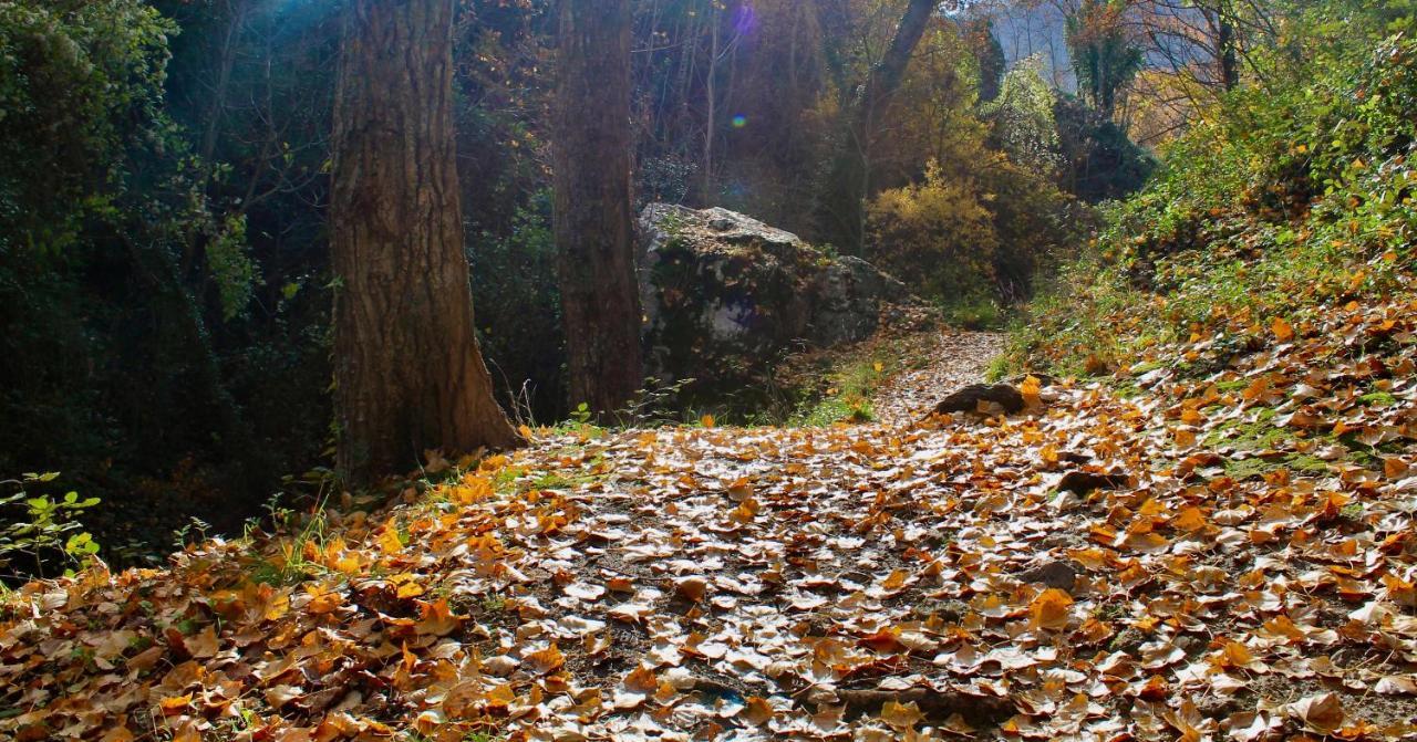 Alojamiento Rural Fuente De La Glorieta Cazorla Exteriör bild