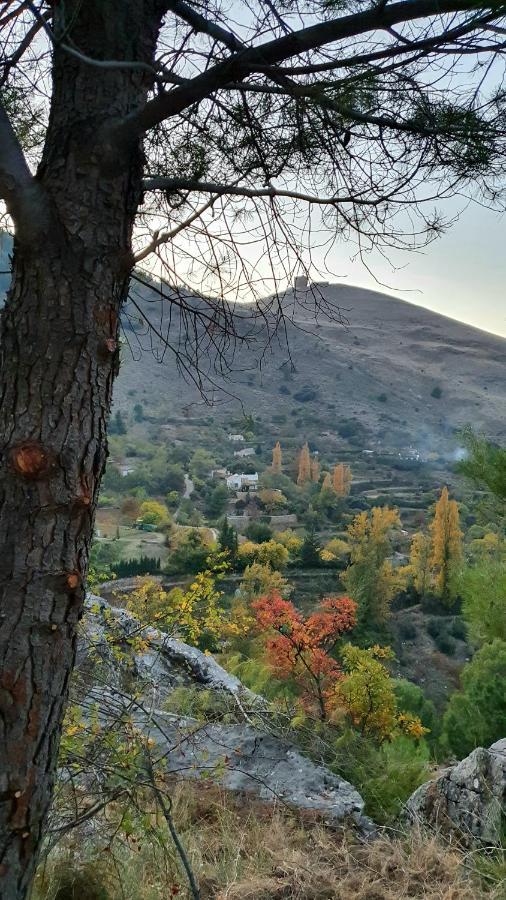 Alojamiento Rural Fuente De La Glorieta Cazorla Exteriör bild